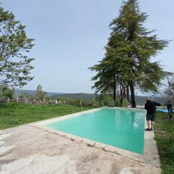 PHOTO-2024-04-26-11-56-19 2